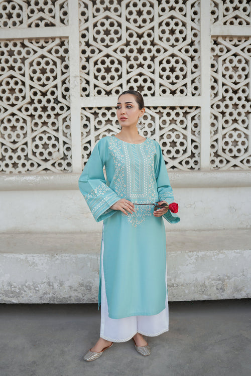 2PC Fully Embroidered Linen Unstitched Collection TSC