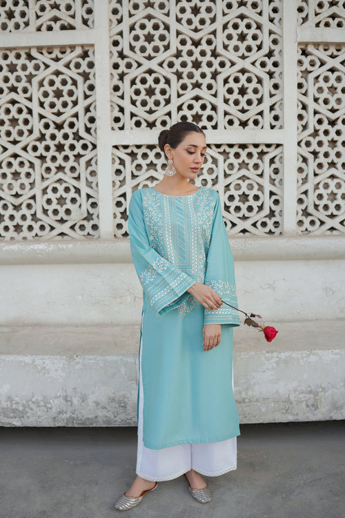 2PC Fully Embroidered Linen Unstitched Collection TSC