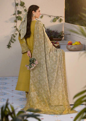 Winter Collection | Premium Dhanak 3PC Embroidered Suit TSC