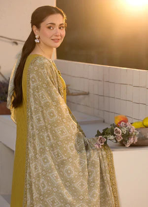 Winter Collection | Premium Dhanak 3PC Embroidered Suit TSC