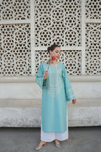 2PC Fully Embroidered Linen Unstitched Collection TSC