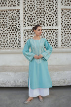 2PC Fully Embroidered Linen Unstitched Collection TSC